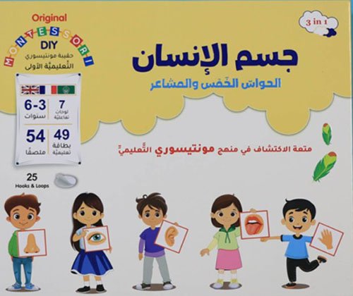الانسان جسم مونتوسوري منهج